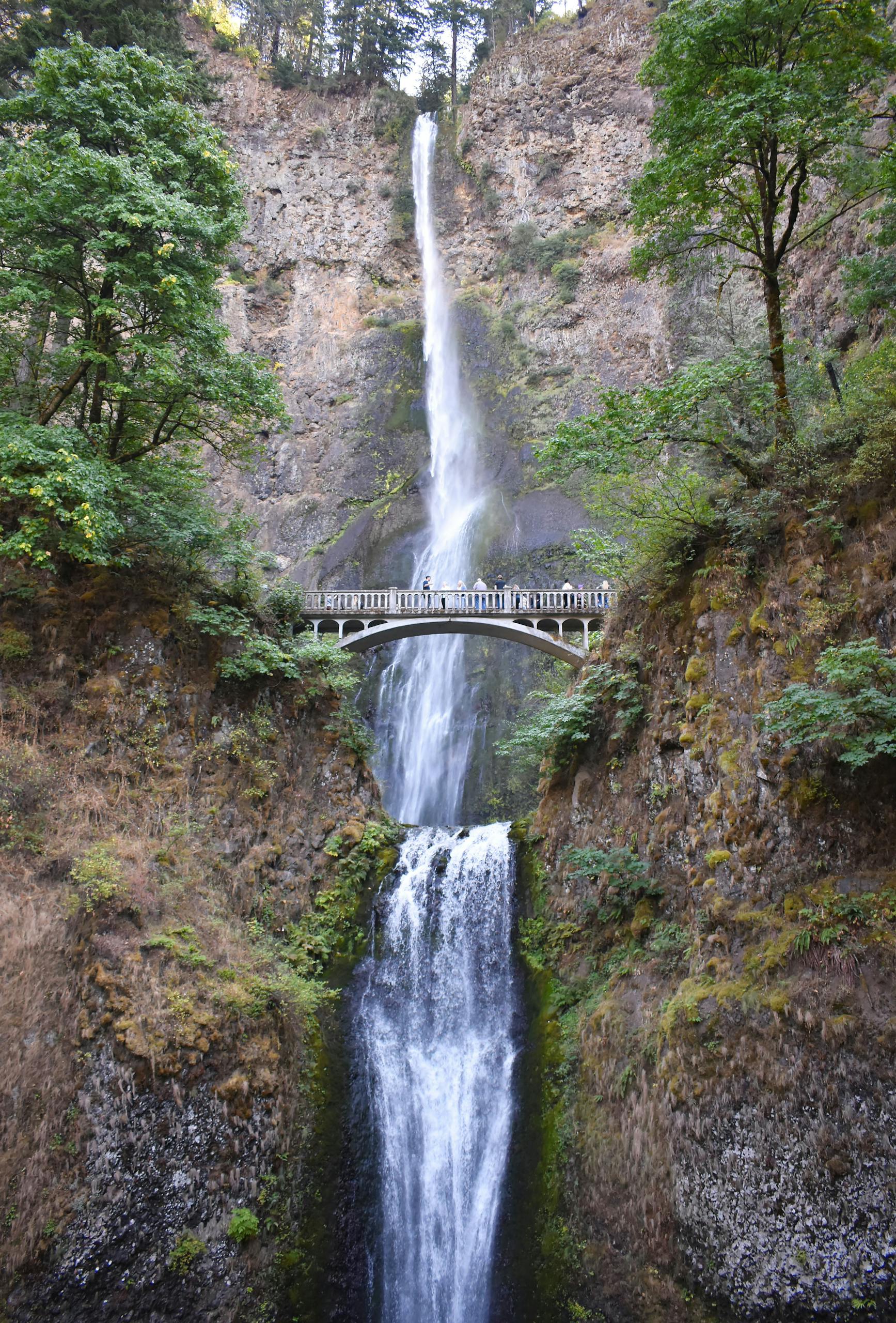 Stunning Multnomah Falls in Oregon cascades over rocks under a beautiful footbridge.
